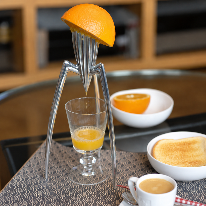 Manual Fruit Juice Squeezer