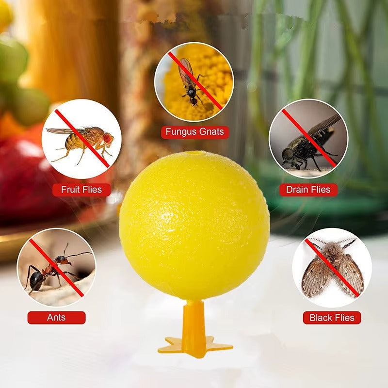 Ultimate Fly & Mosquito Trap