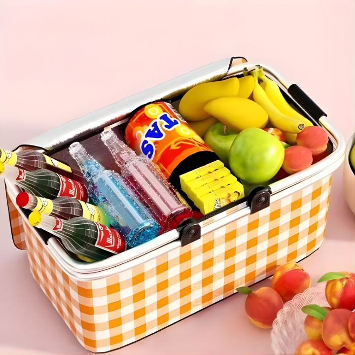 Collapsible Picnic Essentials Bag