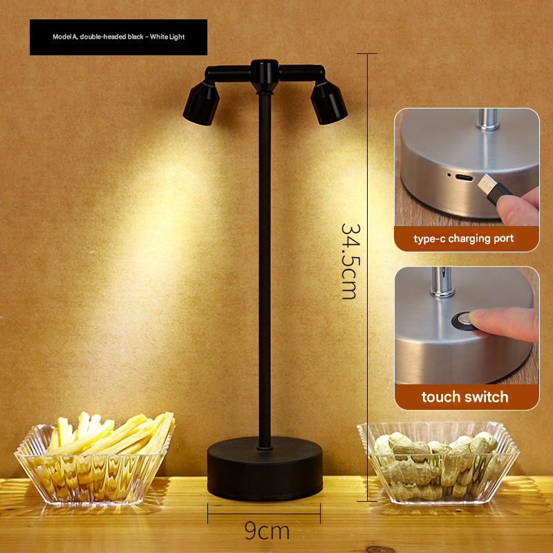 360° Rotating Dual Head Lamp